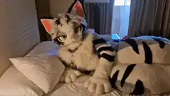 white tiger fursuit lying on bed
