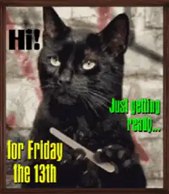 Black cat with knife for Friday the 13th