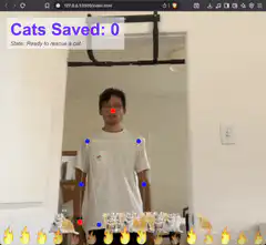 Man doing pullups with cats