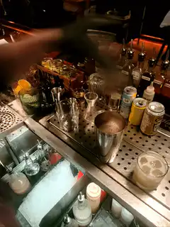 Bartender shaking cocktail shaker