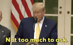 Donald Trump Not too much to ask