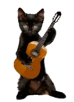 black kitten playing guitar