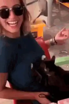 Woman laughing with cat on lap