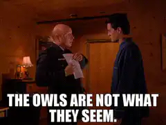 The Owls Are Not What They Seem
