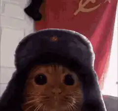 cat in ussr hat