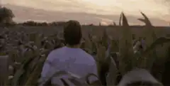 If you build it they will come