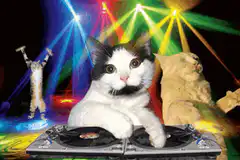 DJ Cat with Disco Lights