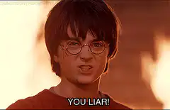 Harry Potter You Liar