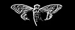 glitching moth