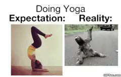 Doing Yoga Expectation vs Reality Sloth