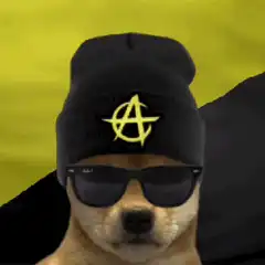 Anarchy Doge with Beanie