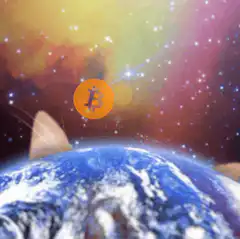 cat peeks over earth with bitcoin