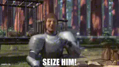 Seize Him! Knight attacks horse