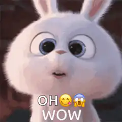 Snowball rabbit oh wow