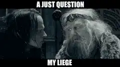 A Just Question My Liege