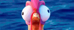 Heihei the rooster screaming