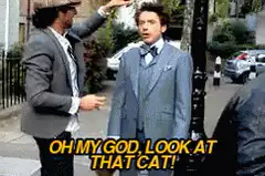 Oh My God Look At That Cat