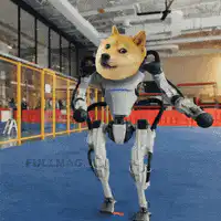 Doge robot dancing