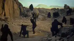 Ape stands up with bone