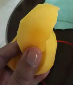 hand holding a peeled mango slice