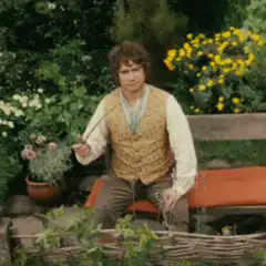 Bilbo Baggins says Good Morning