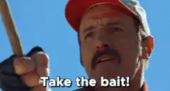 Take the bait!