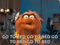 Animal Go To Bed Meme