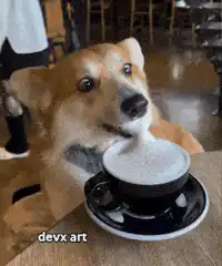 Dog drinking coffee