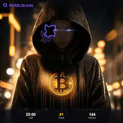 Satoshi Hoodie Puzzle Game