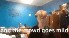 Guy falls over and the crowd goes mild