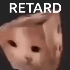 Spinning cat with RETARD text