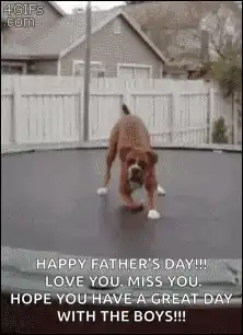 Boxer dog jumping on trampoline
