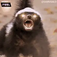 Glowing Honey Badger Meme