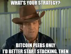 What's Your Strategy Bitcoin Pleds Only