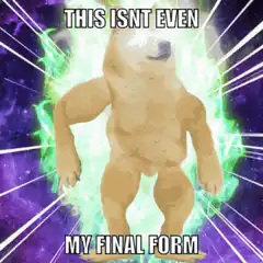 This Isnt Even My Final Form Doge