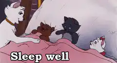 Marie and kittens sleep well