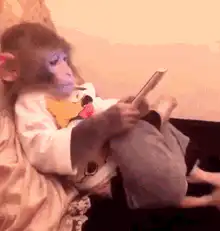 Monkey scrolling on smartphone
