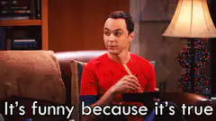 Sheldon It's funny because it's true