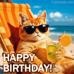 Cool Cat Birthday Beach GIF