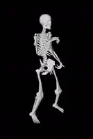 Skeleton dancing on black background