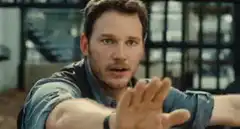 Owen Grady calming raptors