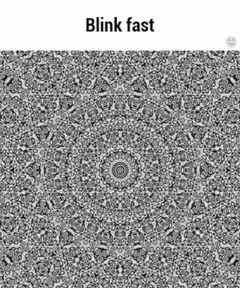 Blink fast optical illusion