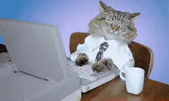 Cat typing on laptop