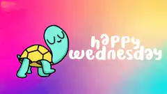 Sad turtle happy wednesday