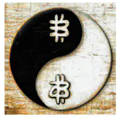 Bitcoin Yin Yang Symbol