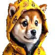 Shiba Inu in yellow hoodie