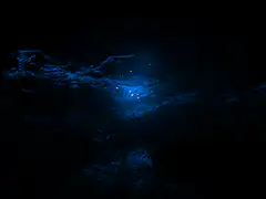 Blue glowing lights in dark cave