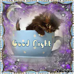 kitten in teacup good night