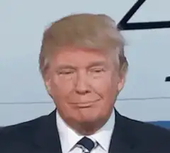 Donald Trump smirking and nodding