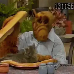 ALF puts a cat in a sandwich